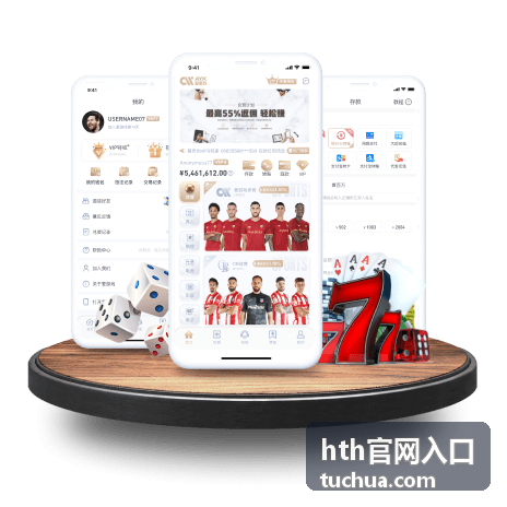 hth官网入口移动端与多设备适配界面示意